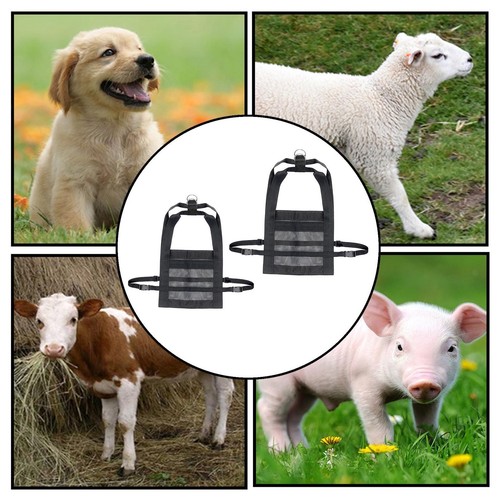Livestock weighing strap calf - strap,