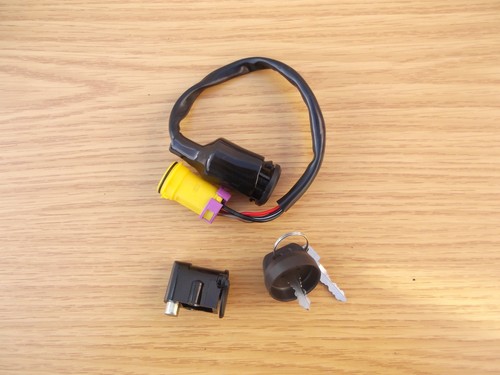 Ignition switch lock set - ignition,