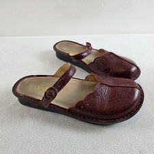 Alegria Tuscany Oxblood Bloom