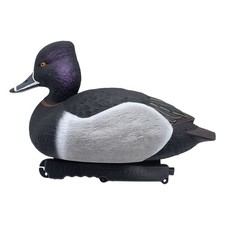 Ringneck Duck Decoys - 6 Pack
