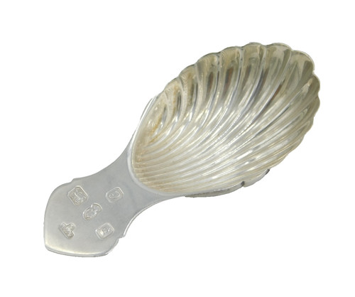 Sterling silver shell - silver, tea
