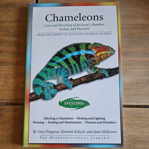 Chameleons care and breeding - :,