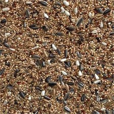 Cockatiel Parakeet Mix - Bird Food Mixture 100g 500g 1kg 2kg 5kg 10kg 15kg 20kg