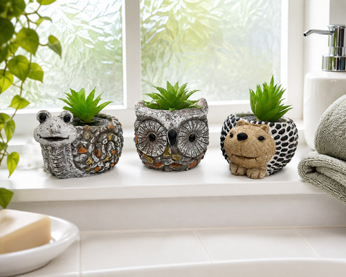 Cute animal concrete succulent - concrete,