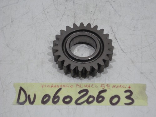 Primary gear fifth - primary,