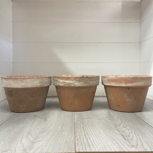 Vintage terracotta pots 18cm - terracotta,