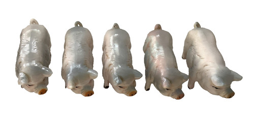 Group pig figurines - of,