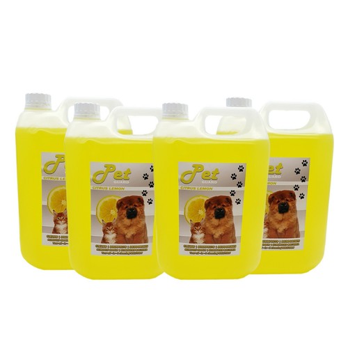 Lemon citrus pet - pet, cattery
