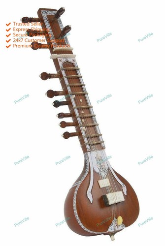 Indian string musical - indian,