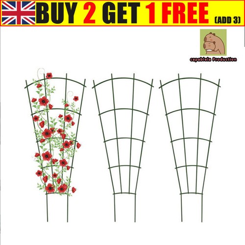 Climbing plants trellis sturdy - trellis,
