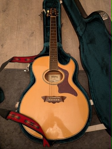 Washburn ea27 greg allman - ea27,