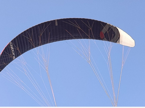 Foil kite ozone 11m - foil,