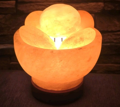 Himalayan salt lamp bowl - himalayan, lamp,