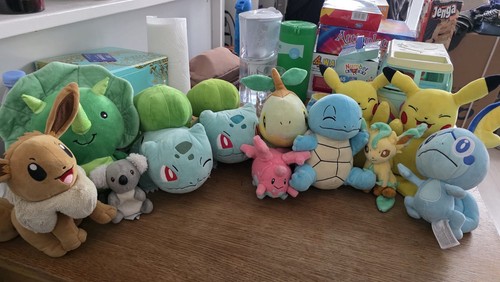 Pokémon plushie and misc - and,