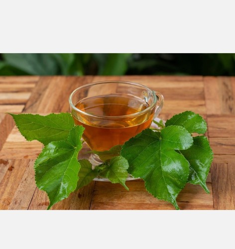 Dried mulberry leaf - mulberry,