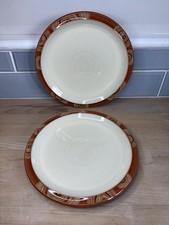 Denby Dinner Plates Fire