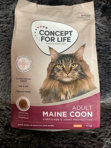 Concept for life - concept,