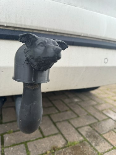 Collie dog tow bar ball - dog,