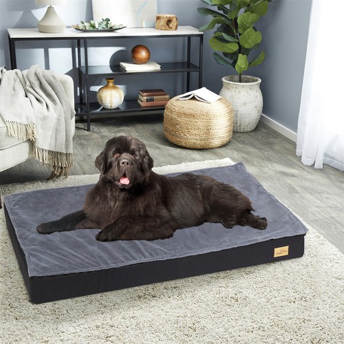 Orthopedic memory foam - orthopedic,