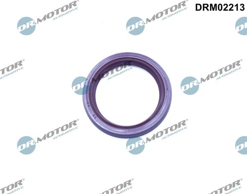 Drm02213 motor automotive - dr.motor,