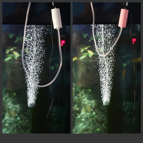 Fish tank aerators - fish,