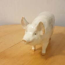 BESWICK PIG BOAR WALL CHAMPION