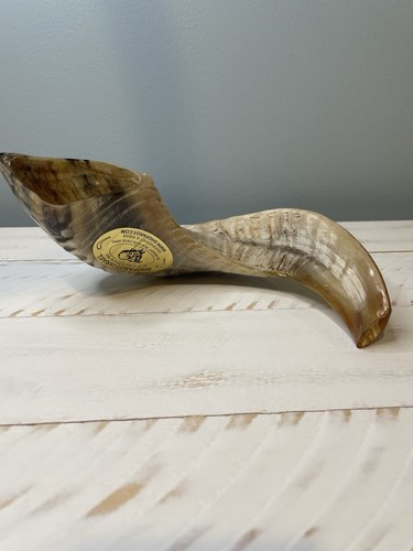 Nwt barsheshet ribak - barsheshet,