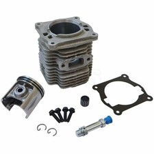 Cylinder & Piston Assy for