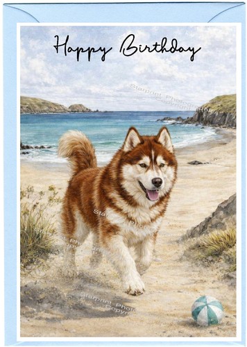 Siberian husky dog - husky, 6")