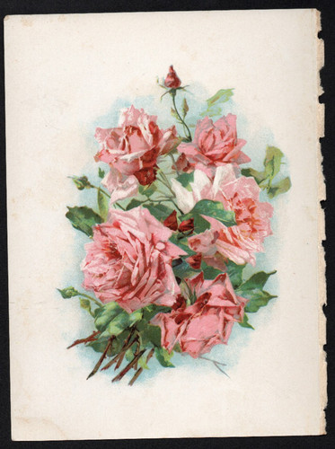 C1907 tiny vintage pink - tiny,