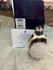 Royal Crown Derby Galapagos Penguin 