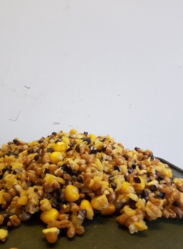 Wheat and maize - wheat, carp