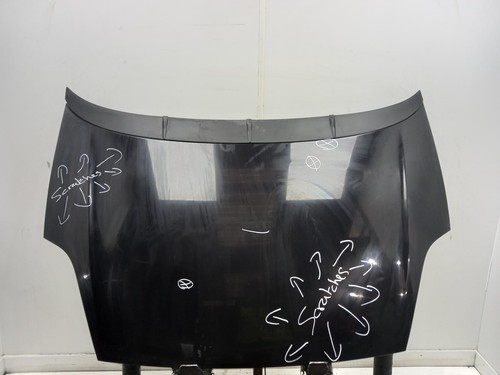 Fiat punto bonnet 2012 - fiat,