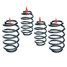 Eibach Pro-Lift-Kit springs