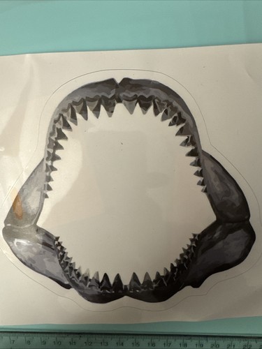 Jaws great white shark - jaws,
