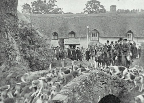 Devon somerset staghounds film - staghounds,