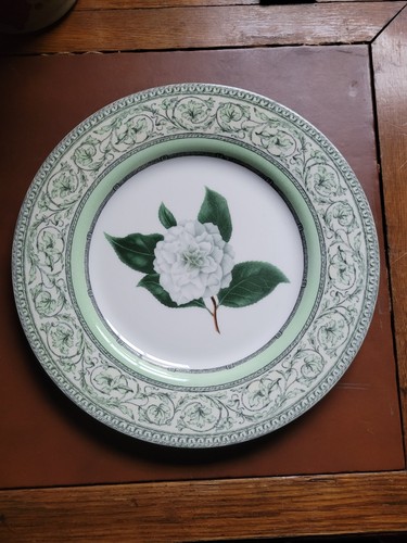 Applebee camellia dinner - camellia, 1