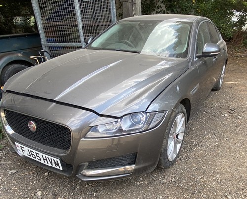 Jaguar portfolio x260 2 0 - jaguar,
