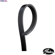 VRIBBED BELT 4PK1013 FOR