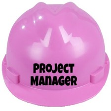 Children's, Project Manager
