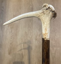 Stag Horn Thumb Walking Stick Gold Eagle (Handcrafted  From Blackthorn)