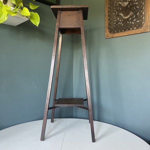 Vintage solid oak - 2, plant