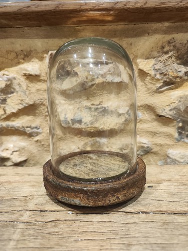Glass cloche bell dome - glass,