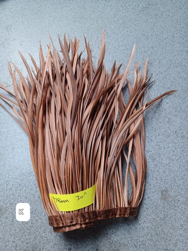 Extra long goose biot feather