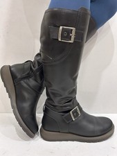 Gorgeous Moshulu Stargazer