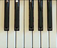 Roland JP8000, Fantom Xa, X-10, RS-5, RS-50, RS-70 - Original Keys