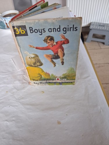 Ladybird book key words with - ladybird,