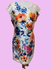 Stunning Fee G Dress size 10