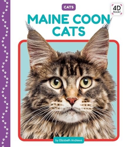 Maine coon cats - coon,