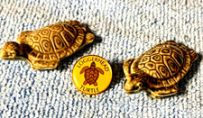 2  Wade England Green Turtle